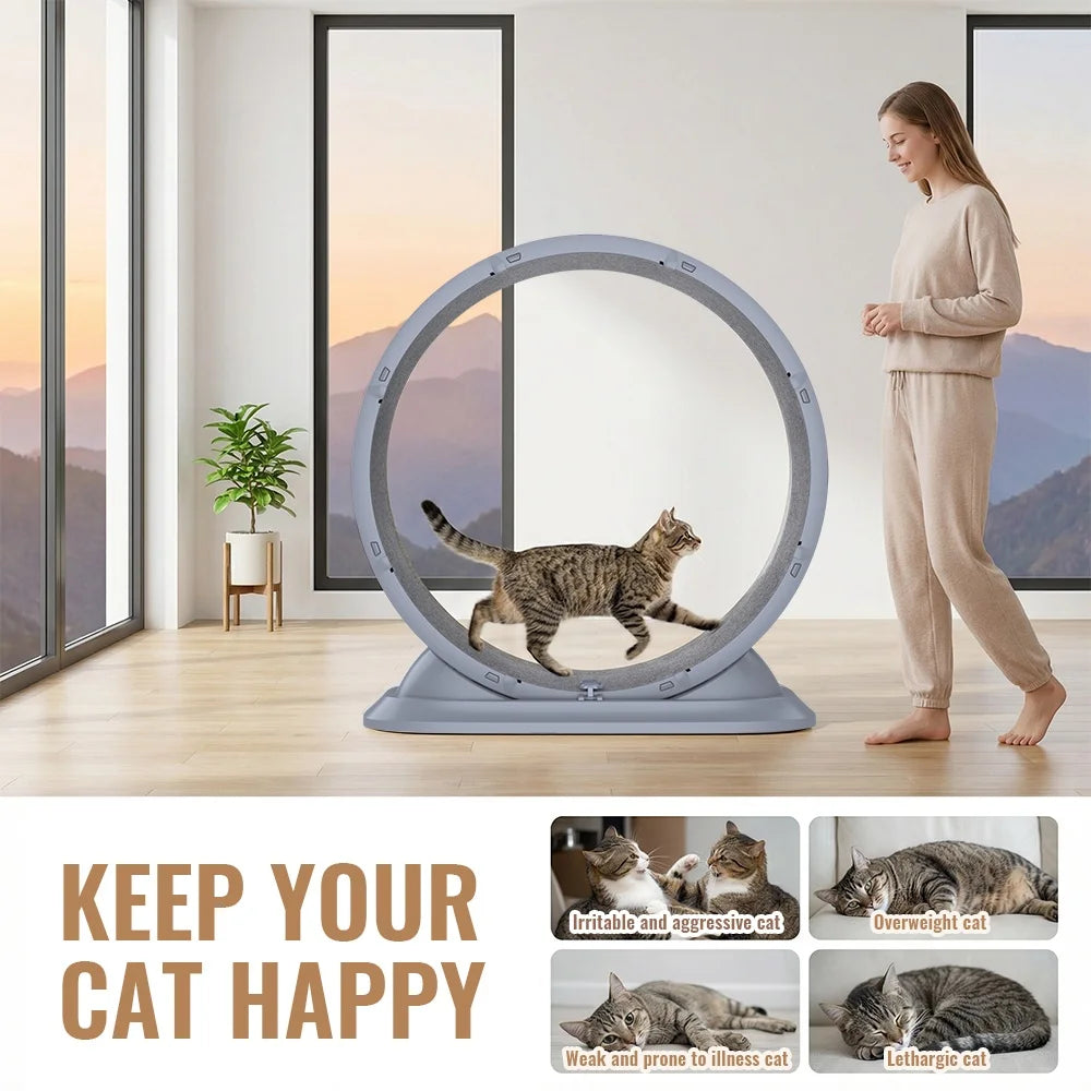 Roue d'Exercice pour Chat - Silencieuse avec Griffoir