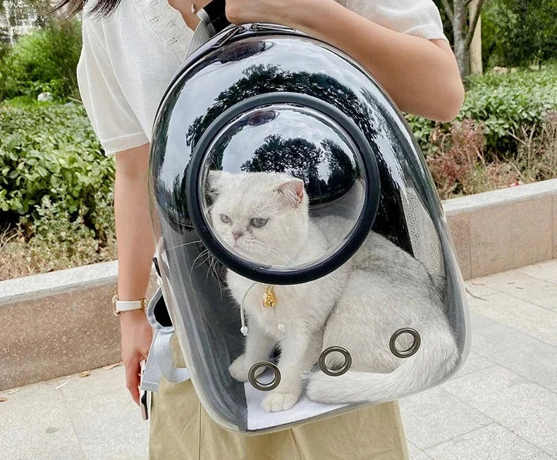 Sac de Transport Capsule Transparente - Chien et Chat