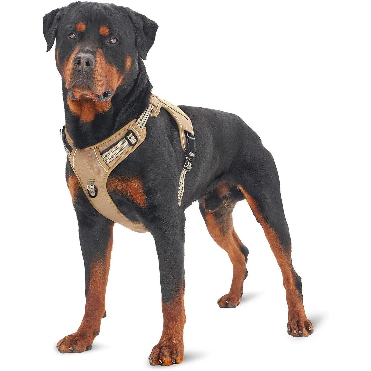 Harnais Tactique Militaire pour Chien – vue 2