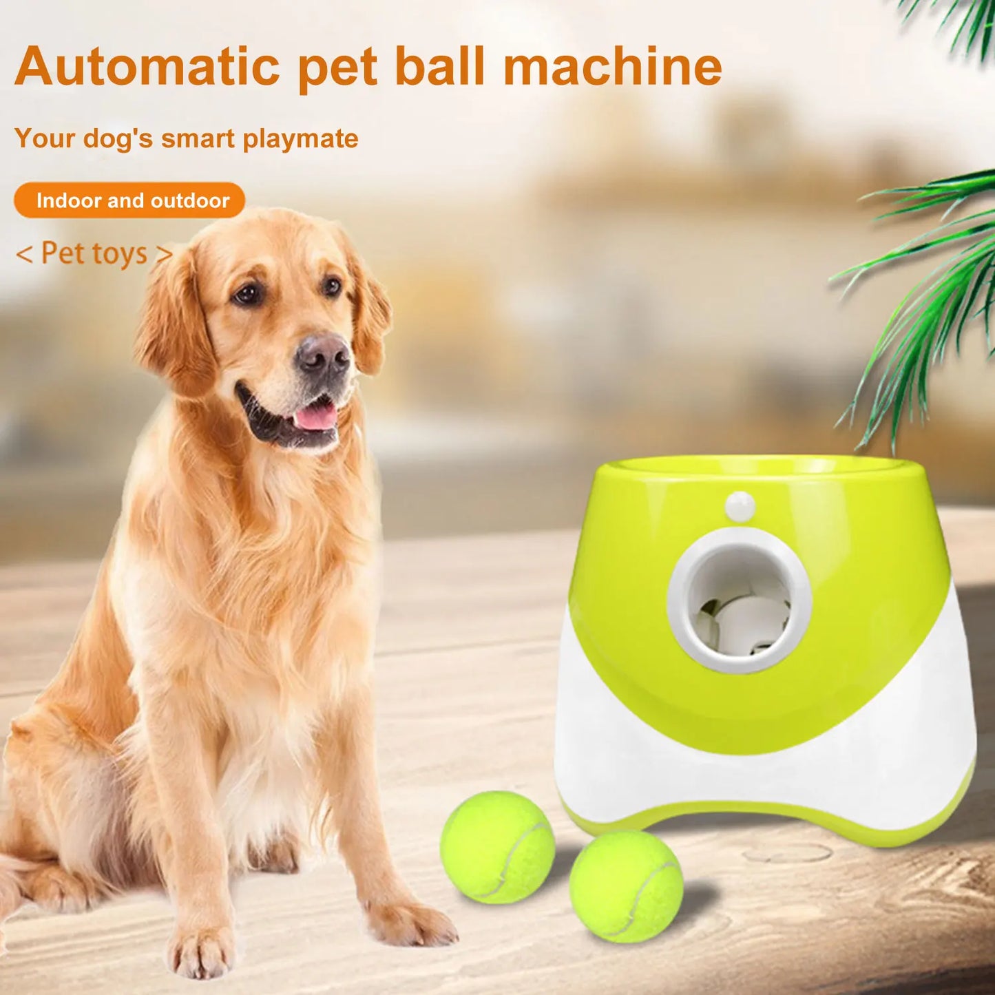 Lanceur de Balles Automatique PlayFetch – Jouet Interactif pour Chien
