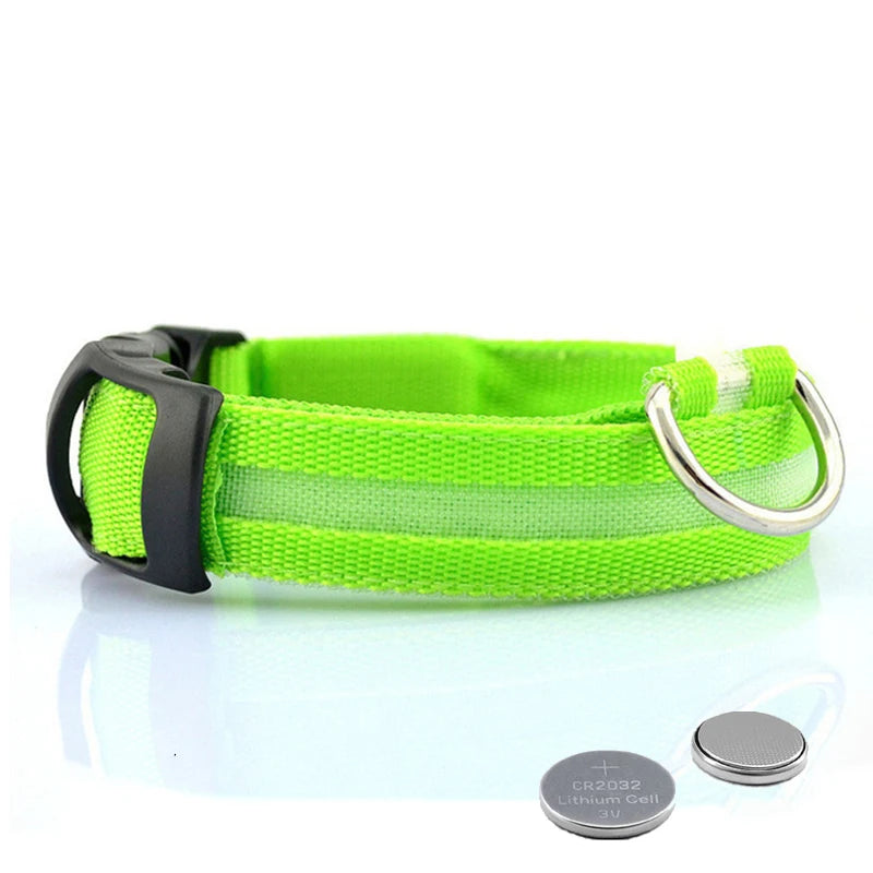 Collier Lumineux GlowPaw – vue 5