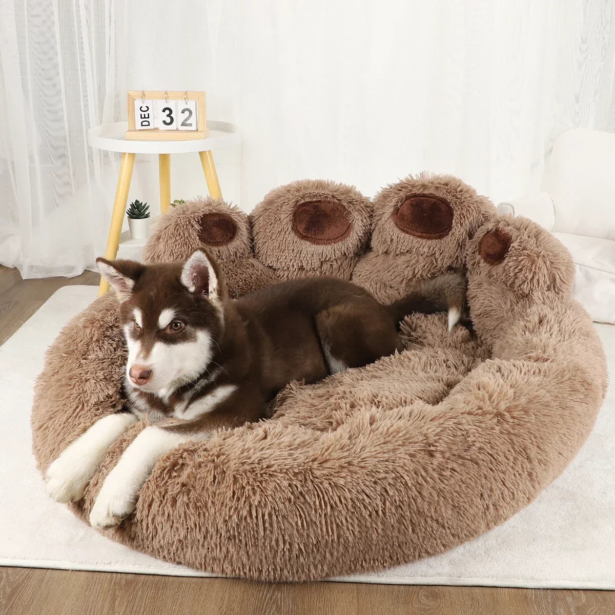 Univers Chien VESTRA PET - harnais, laisses, paniers et gamelles pour chien