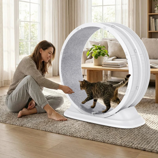 SpinCat WheelPro – Roue d'Exercice Silencieuse pour Chat