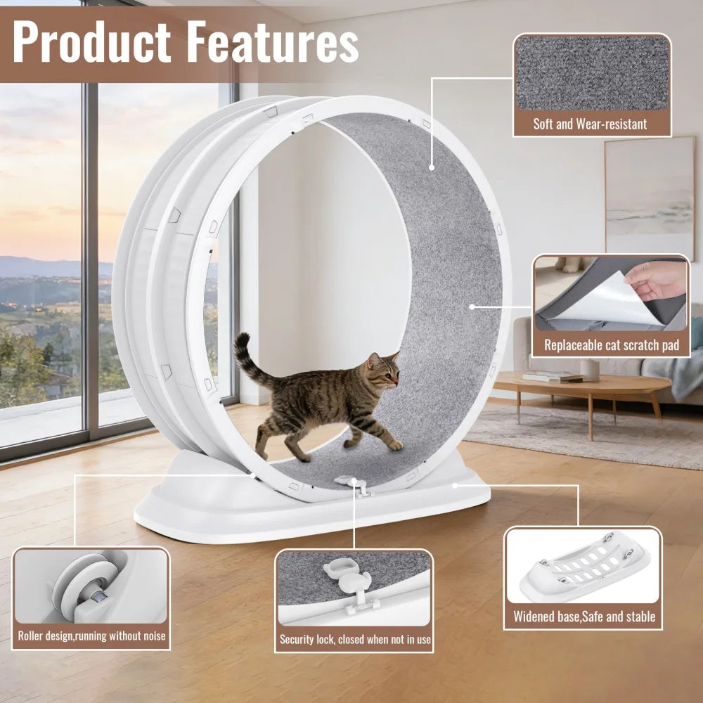SpinCat WheelPro – Roue d'Exercice Silencieuse pour Chat