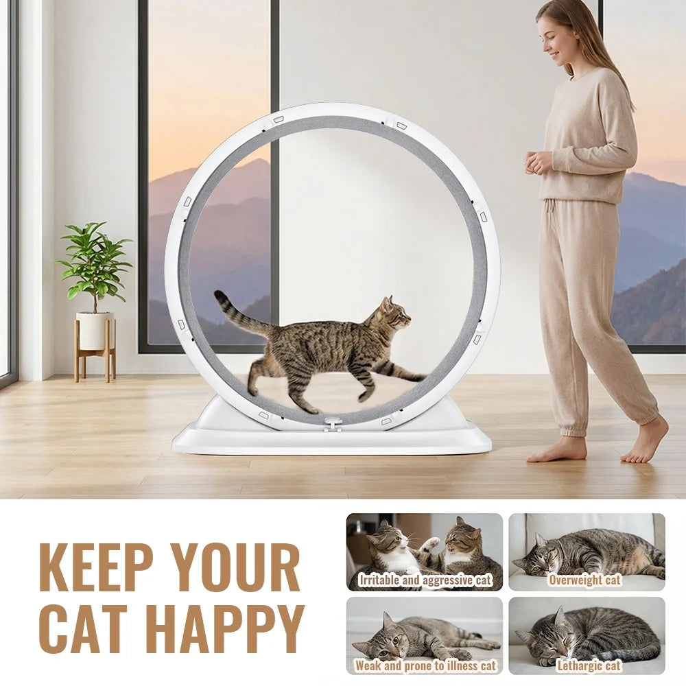 Roue d'Exercice pour Chat - Silencieuse avec Griffoir