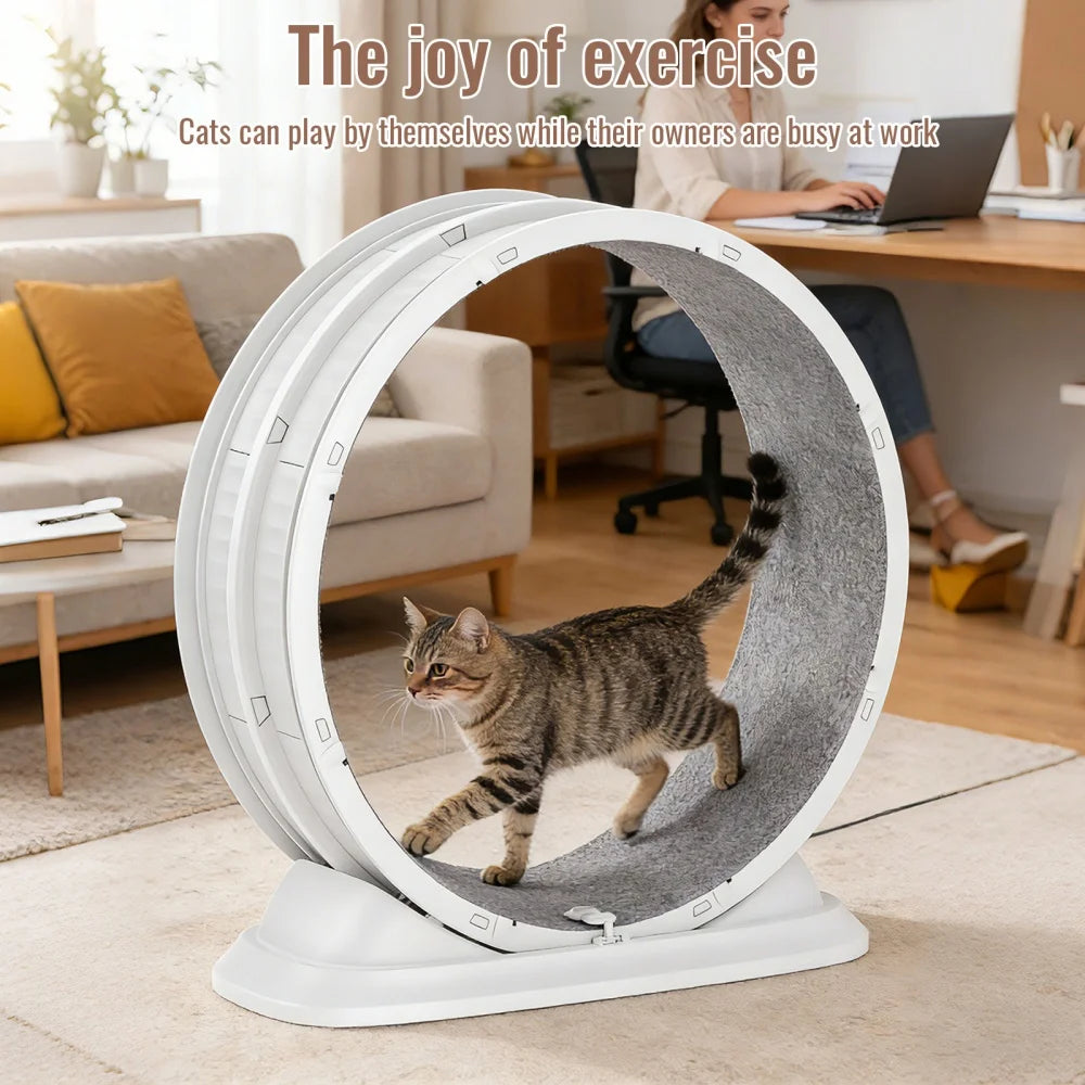 SpinCat WheelPro – Roue d'Exercice Silencieuse pour Chat