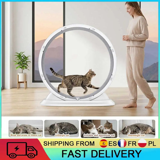 Roue d'Exercice pour Chat - Silencieuse avec Griffoir