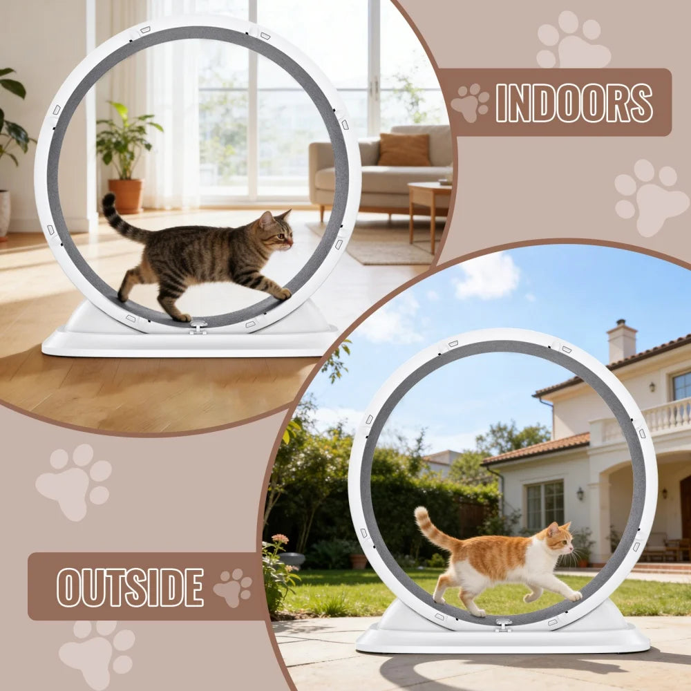 SpinCat WheelPro – Roue d'Exercice Silencieuse pour Chat