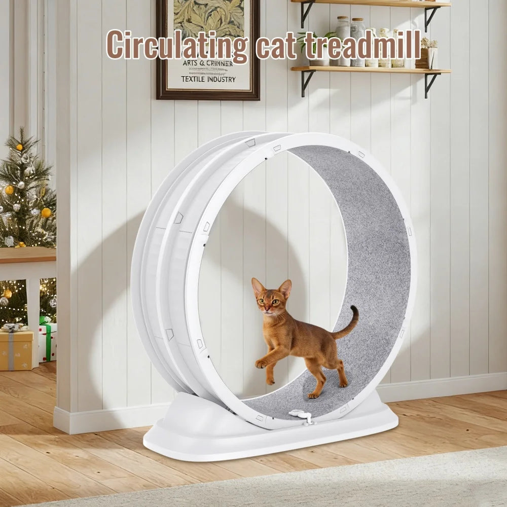 SpinCat WheelPro – Roue d'Exercice Silencieuse pour Chat