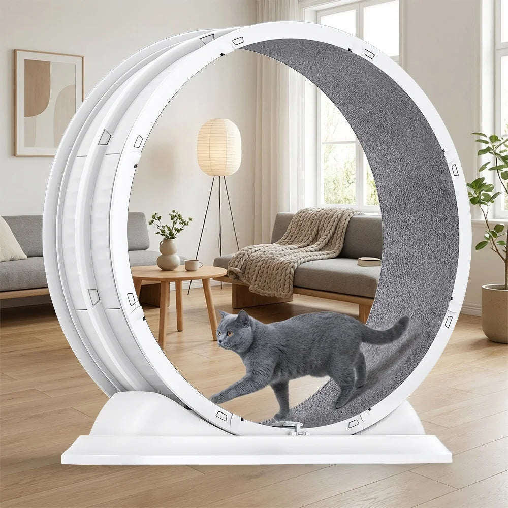 Roue d'Exercice pour Chat - Silencieuse avec Griffoir