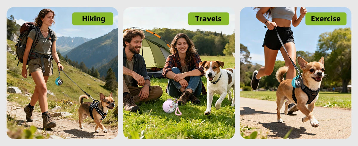 Gourde de promenade pour chien – vue 8