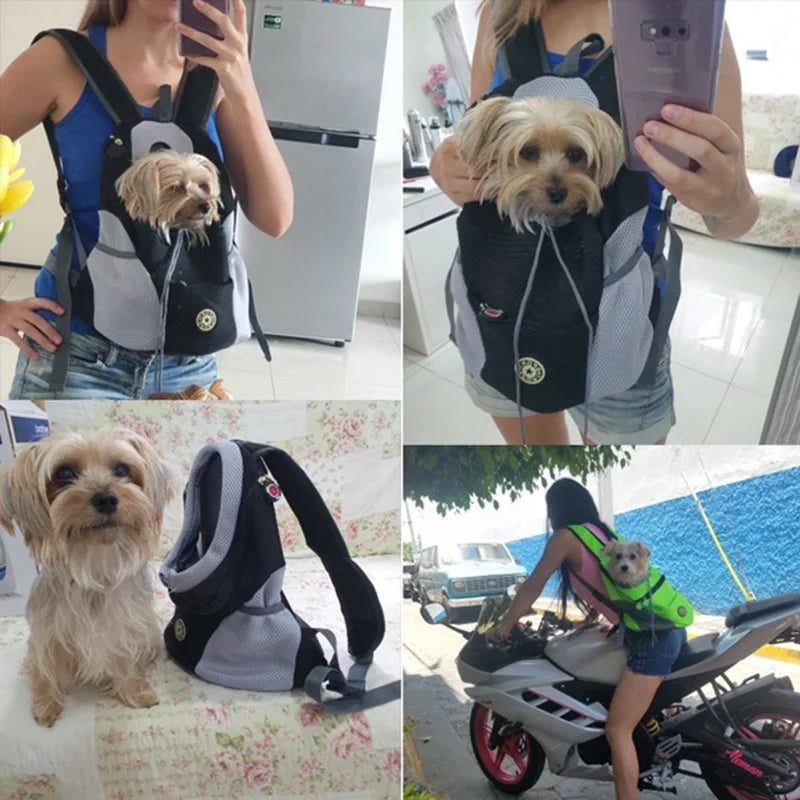 Sac a Dos de Transport pour Chien - Randonnee et Voyage