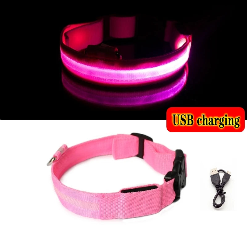 Collier Lumineux GlowPaw – LED Rechargeable pour Chien