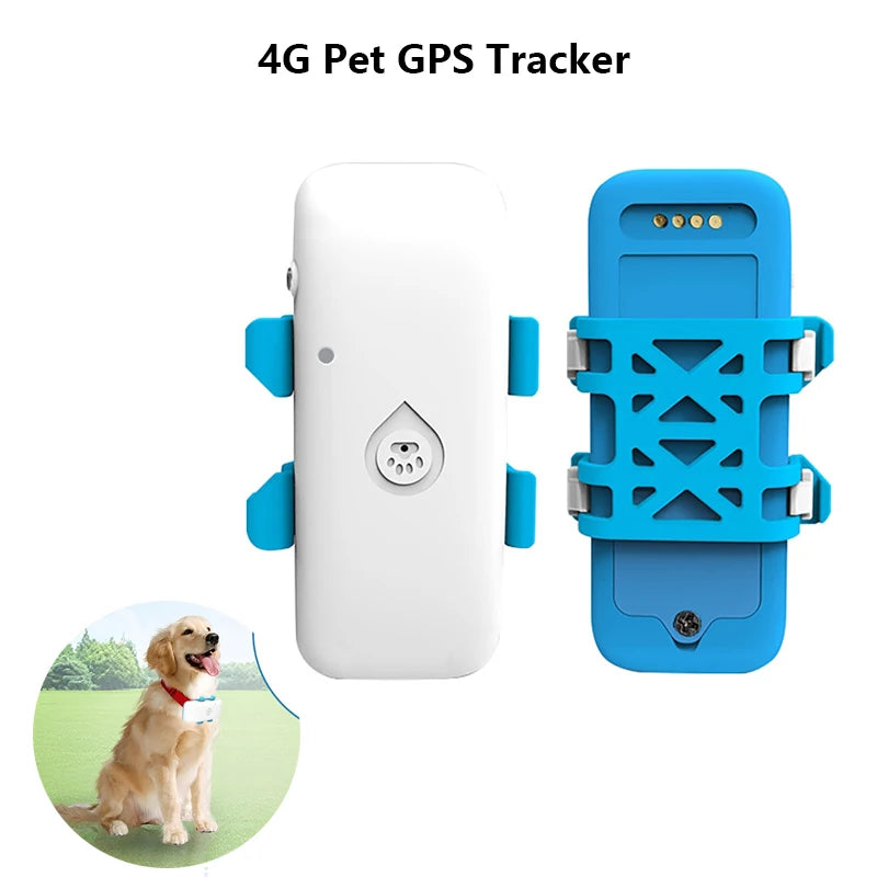 Traceur GPS 4G pour Chien et Chat - Étanche IP67 Suivi Temps Réel