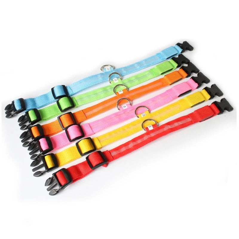 Collier LED Anti-Perte pour Chien - Lumineux de Nuit