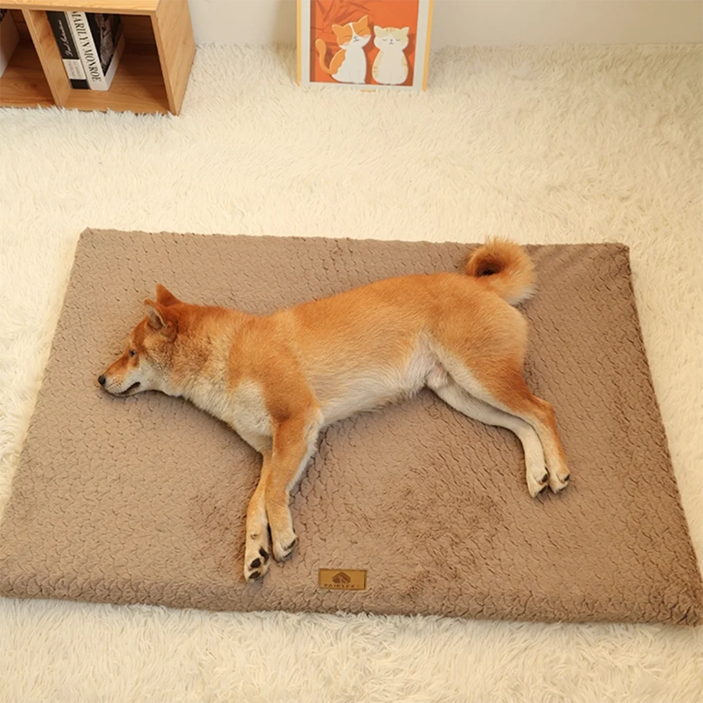 Coussin Mousse 3D pour Chien – photo 2
