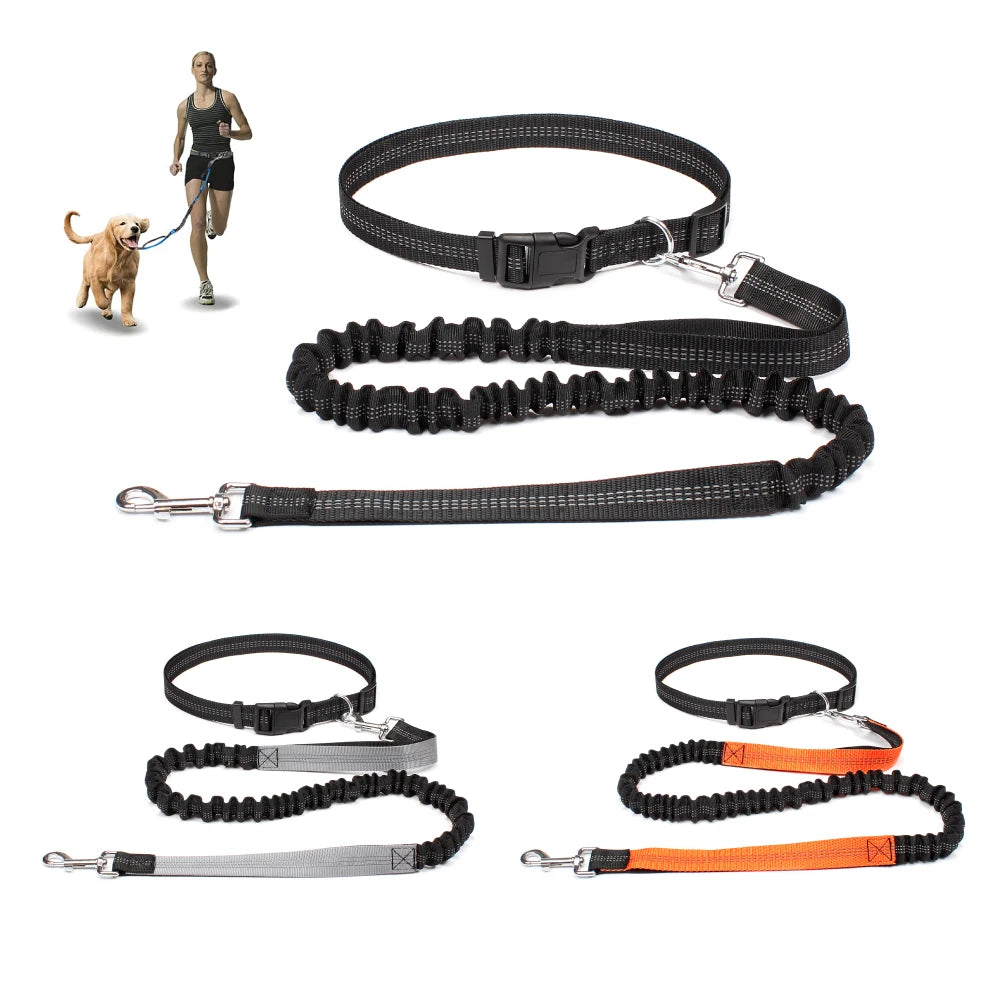 Laisse Mains Libres Canicross – Ceinture Réglable & Élastique Amortisseur