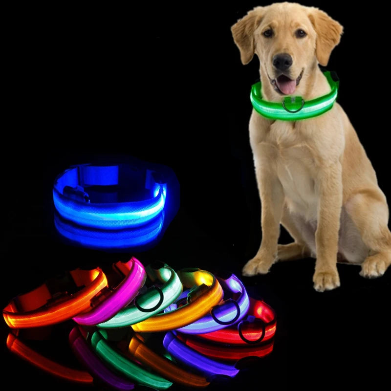 Collier LED Anti-Perte pour Chien - Lumineux de Nuit