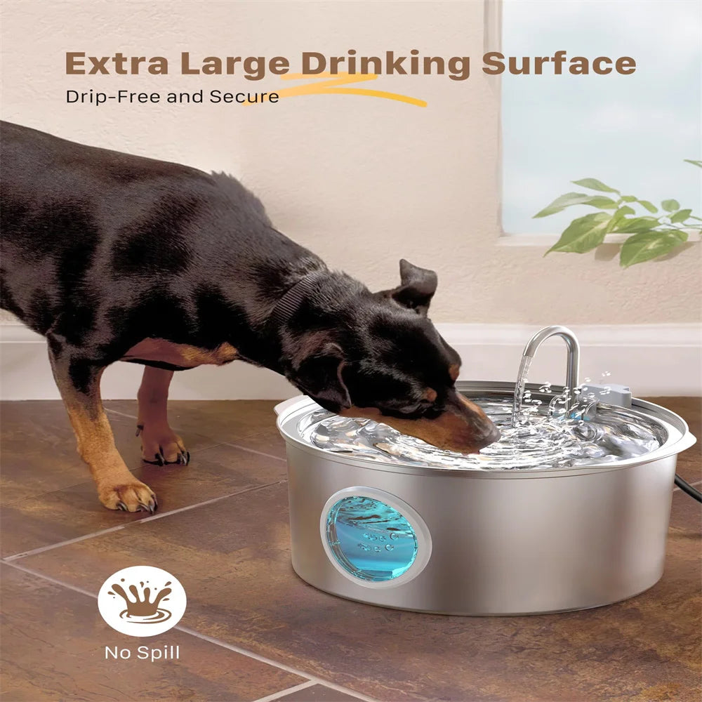 Grande Fontaine a Eau 7L pour Chien - Inox Silencieuse Chien Chat