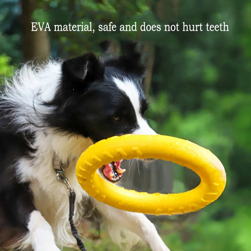 Lot de Jouets pour Chien en EVA – photo 3