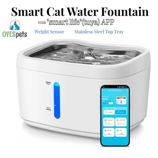 2.5L Cat Water Fountain with App - Connected, Stainless Steel