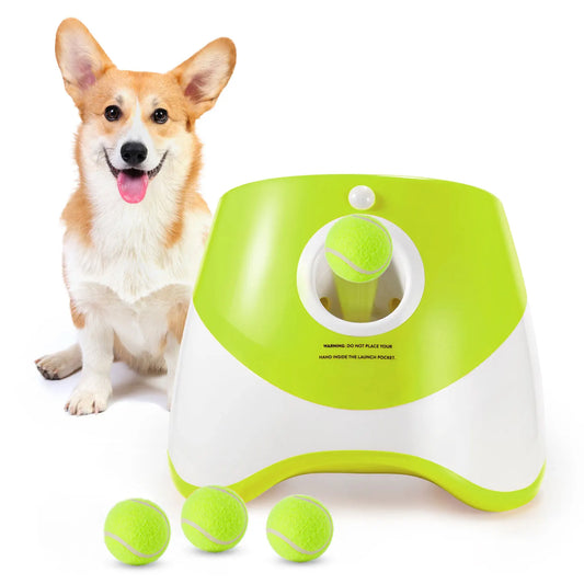 Lanceur de Balles Automatique PlayFetch – vue 2