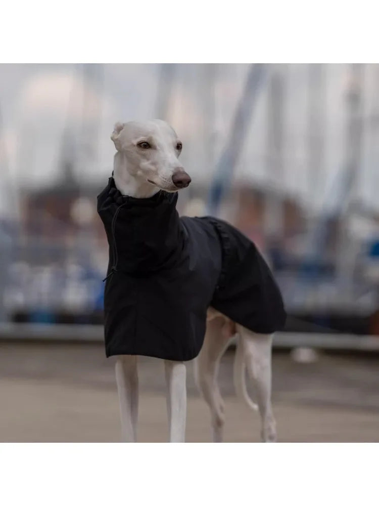 Manteau de Pluie Ajustable pour Chien - Leger et Impermeable