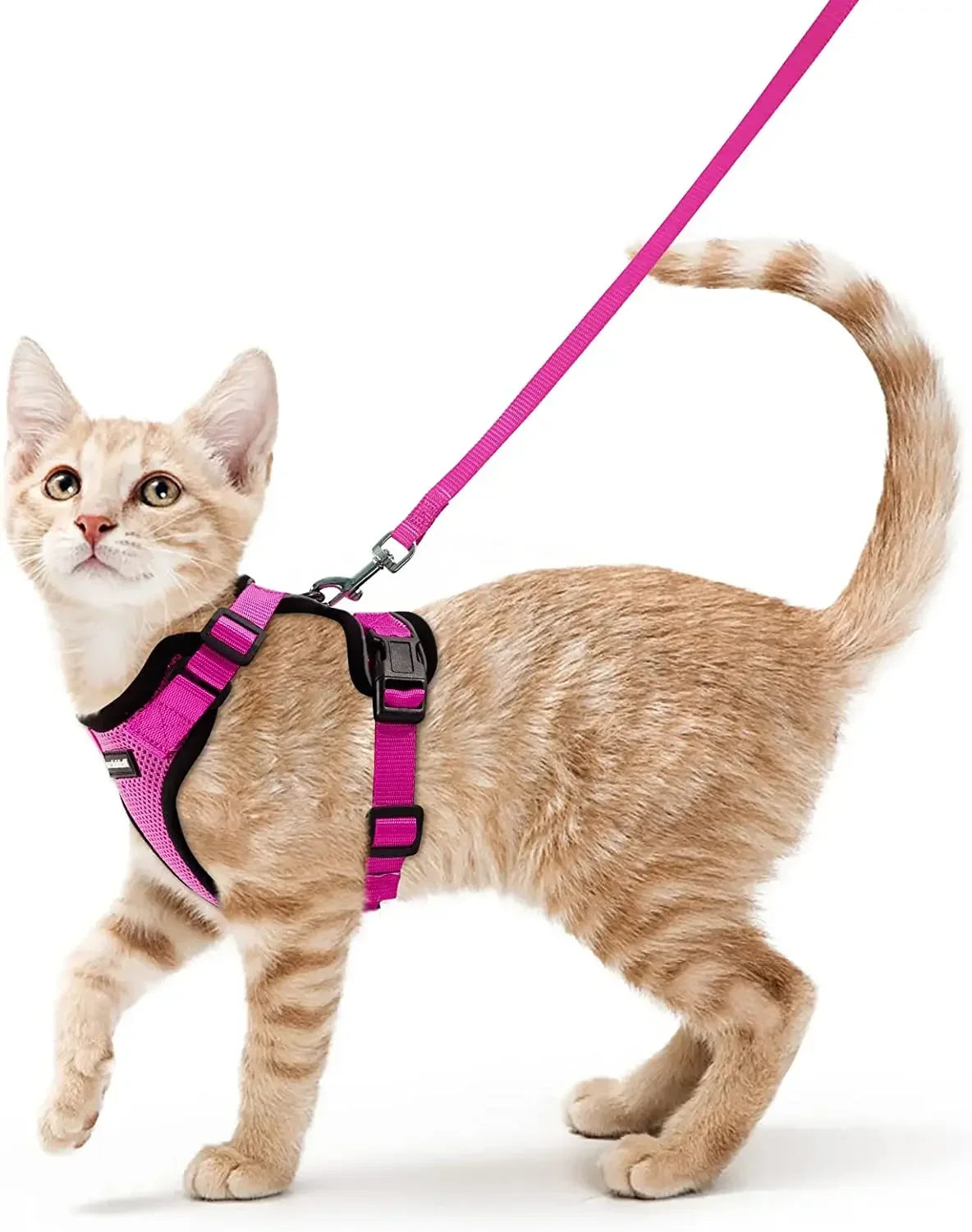 Harnais gilet anti-fugue pour chat - photo 5