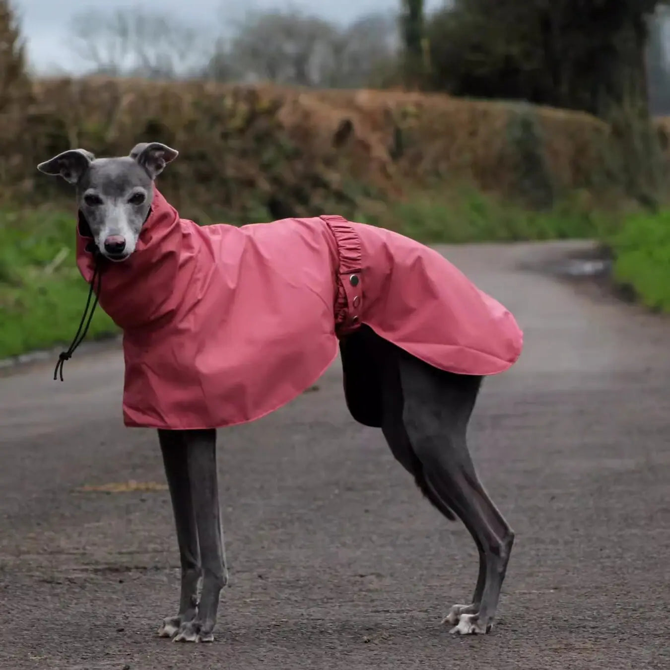 Manteau de Pluie Ajustable pour Chien - Leger et Impermeable