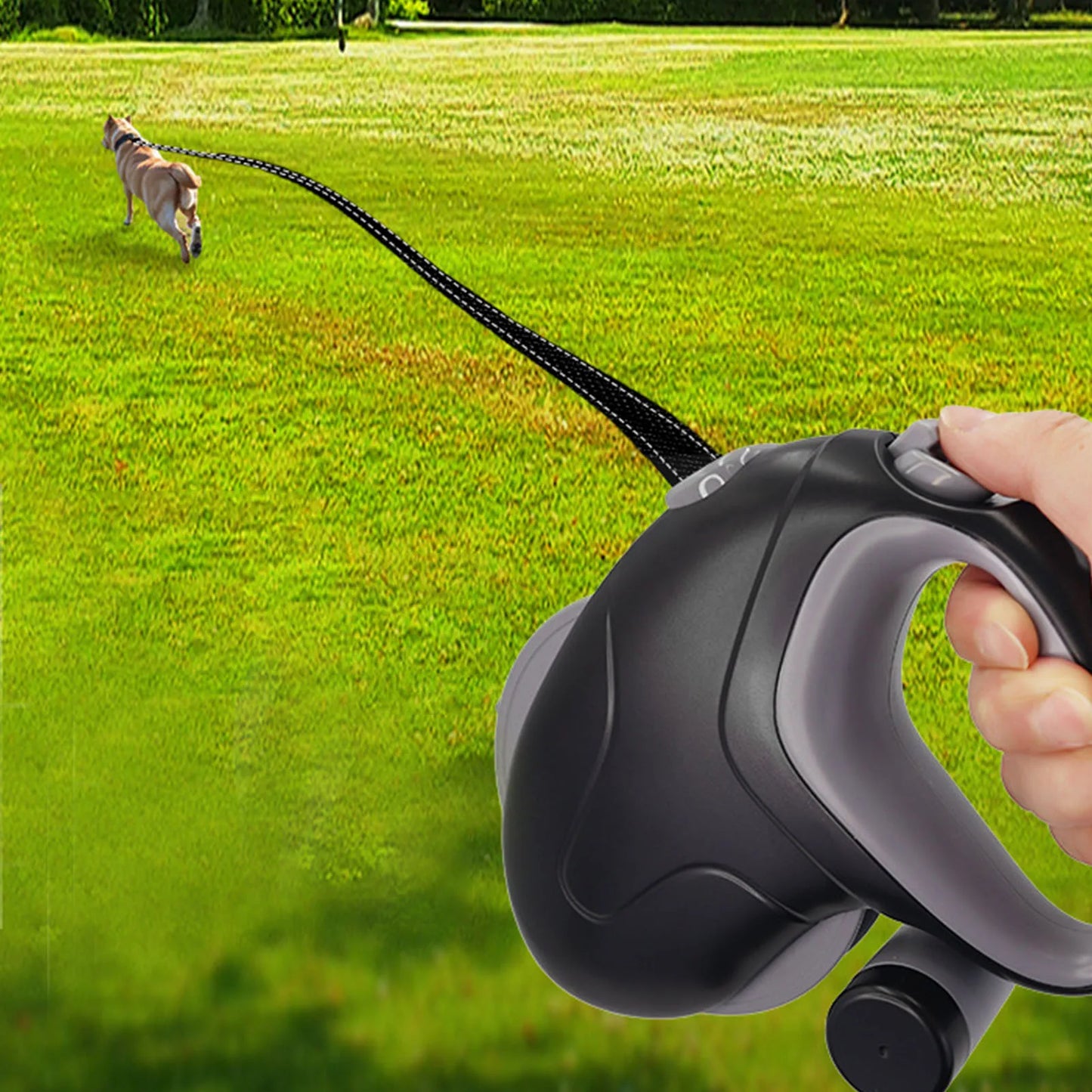 Laisse Retractable 10m pour Chien - Anti-Emmelement
