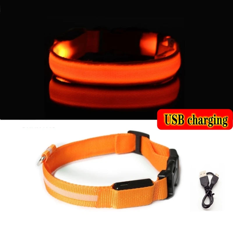 Collier Lumineux GlowPaw – LED Rechargeable pour Chien