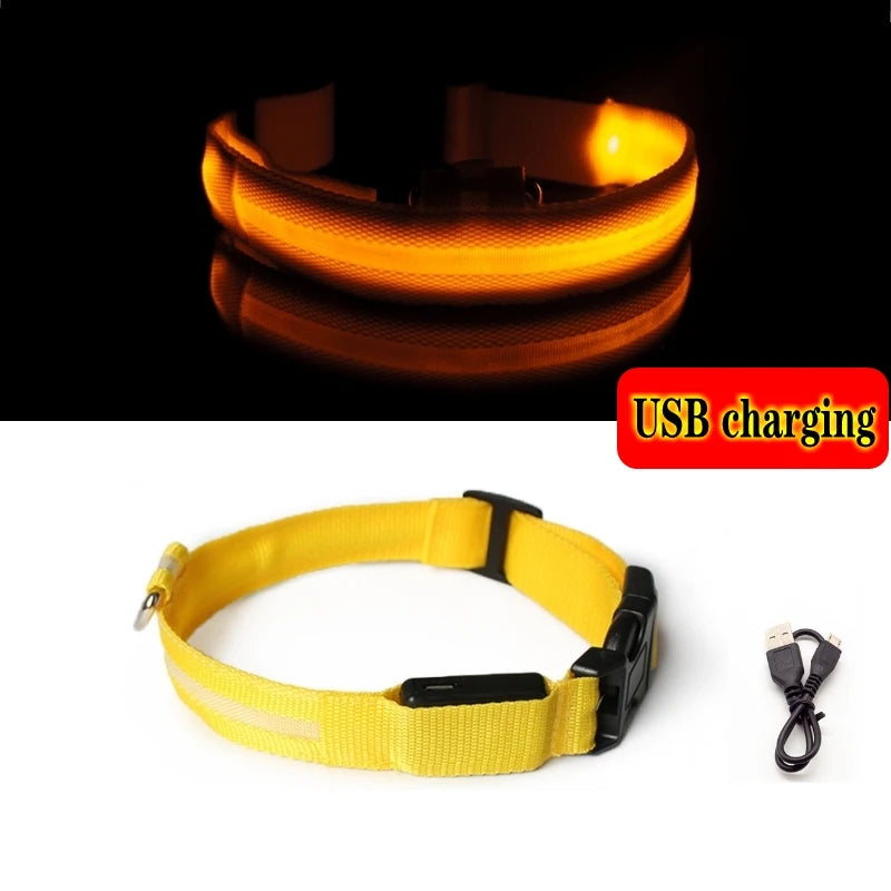 Collier Lumineux GlowPaw – LED Rechargeable pour Chien