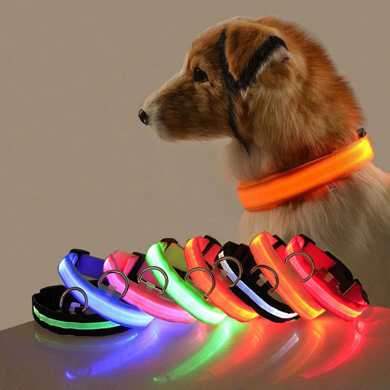 Collier LED Anti-Perte pour Chien - Lumineux de Nuit
