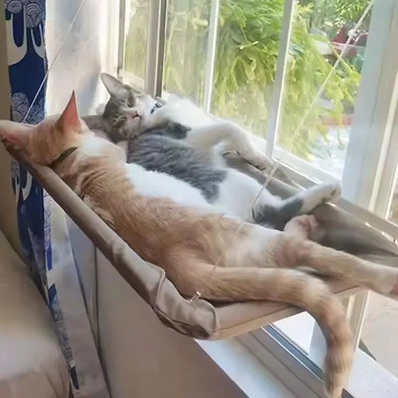 Hamac de fenêtre à ventouses pour chat