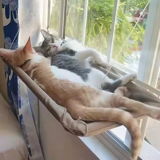 Hamac de fenêtre à ventouses pour chat