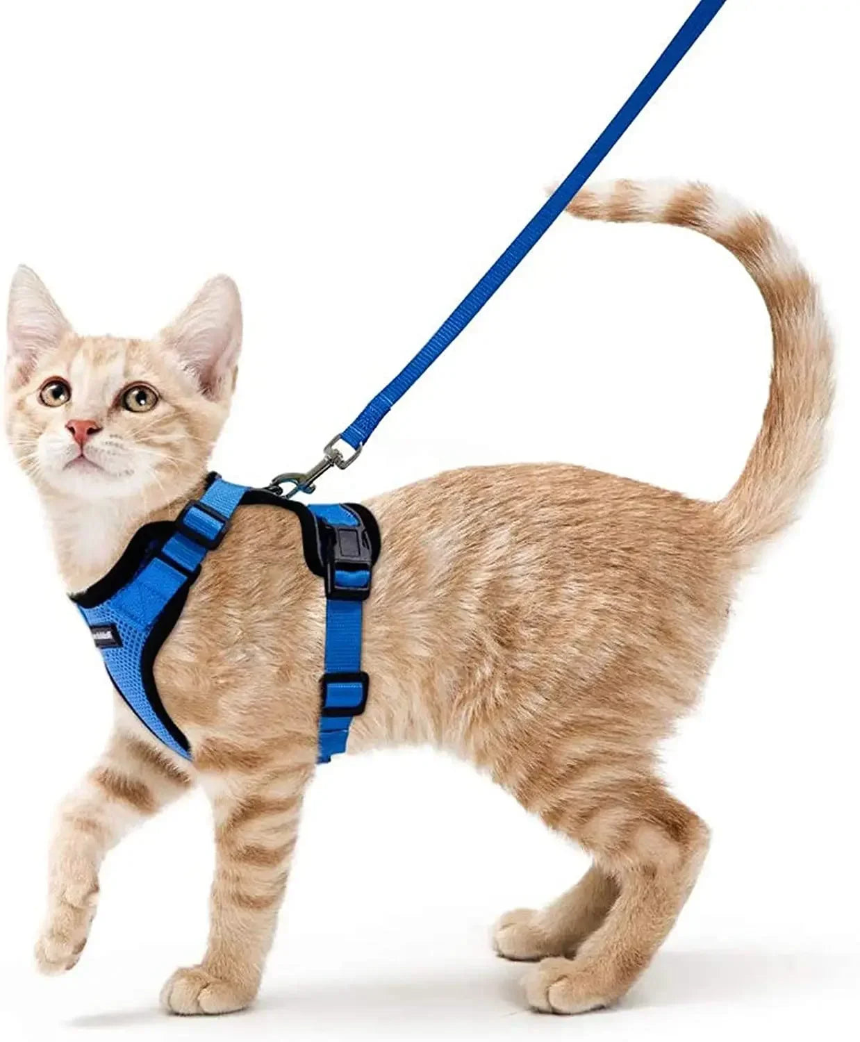 Harnais gilet anti-fugue pour chat - photo 4