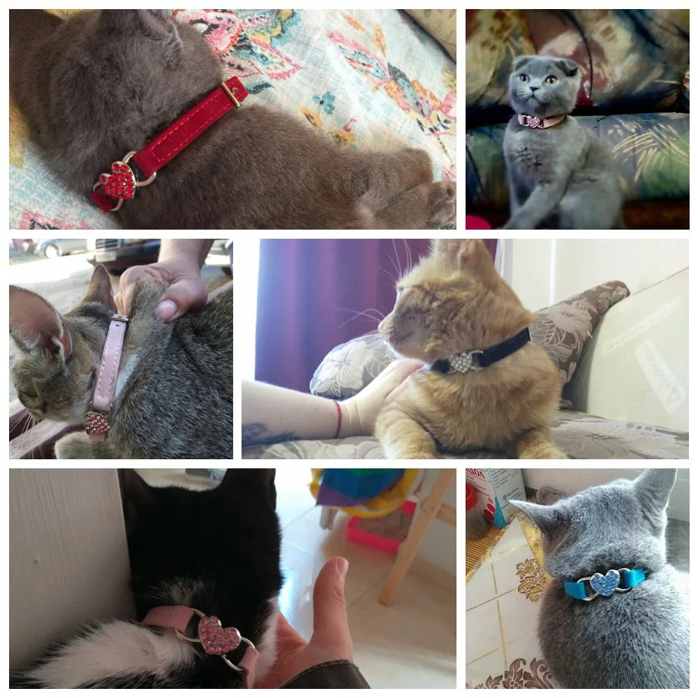 Collier a Clochette pour Chat - Securite Anti-Etranglement