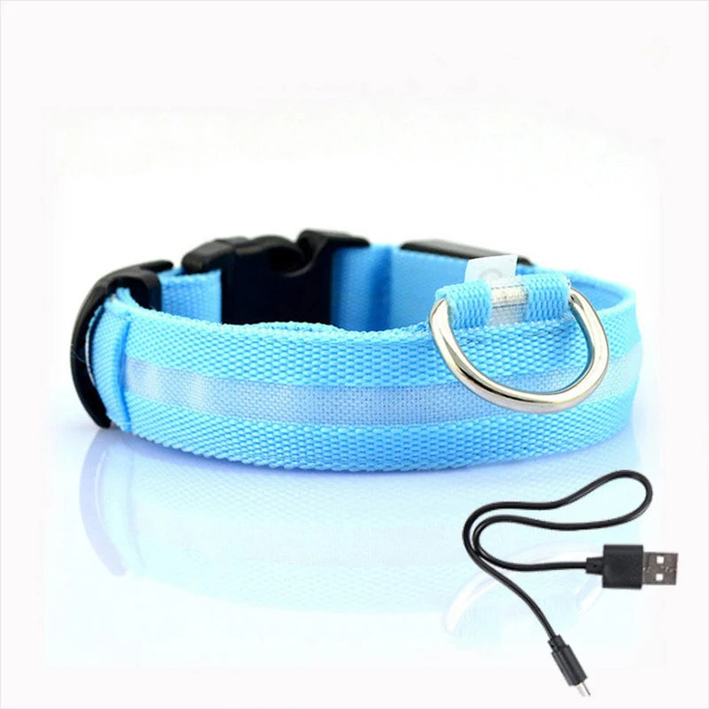 Collier LED Anti-Perte pour Chien - Lumineux de Nuit