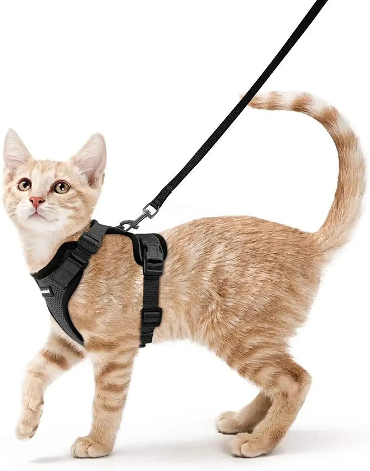 Harnais gilet anti-fugue pour chat - photo 2