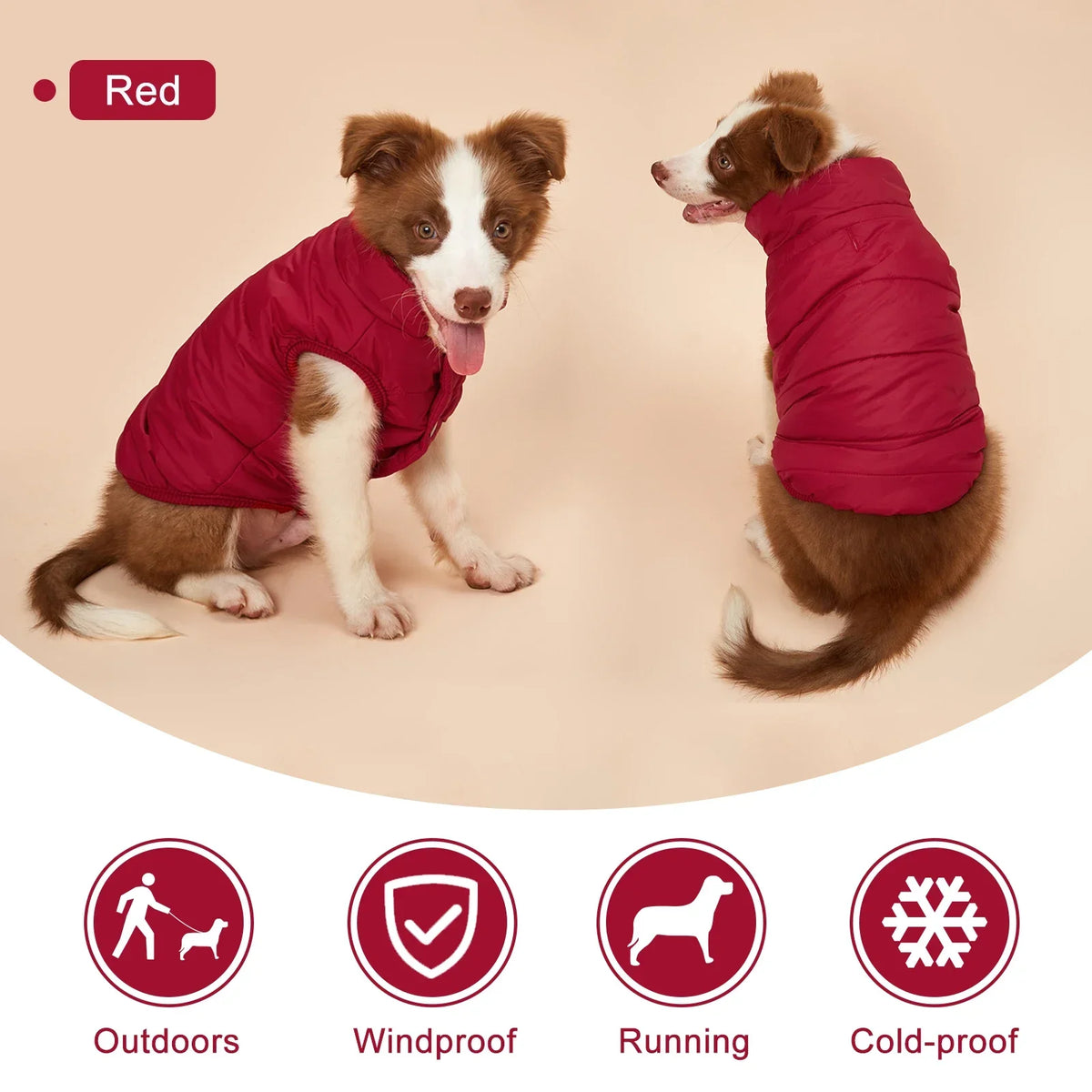 Doudoune Matelassée pour Chien – photo 4