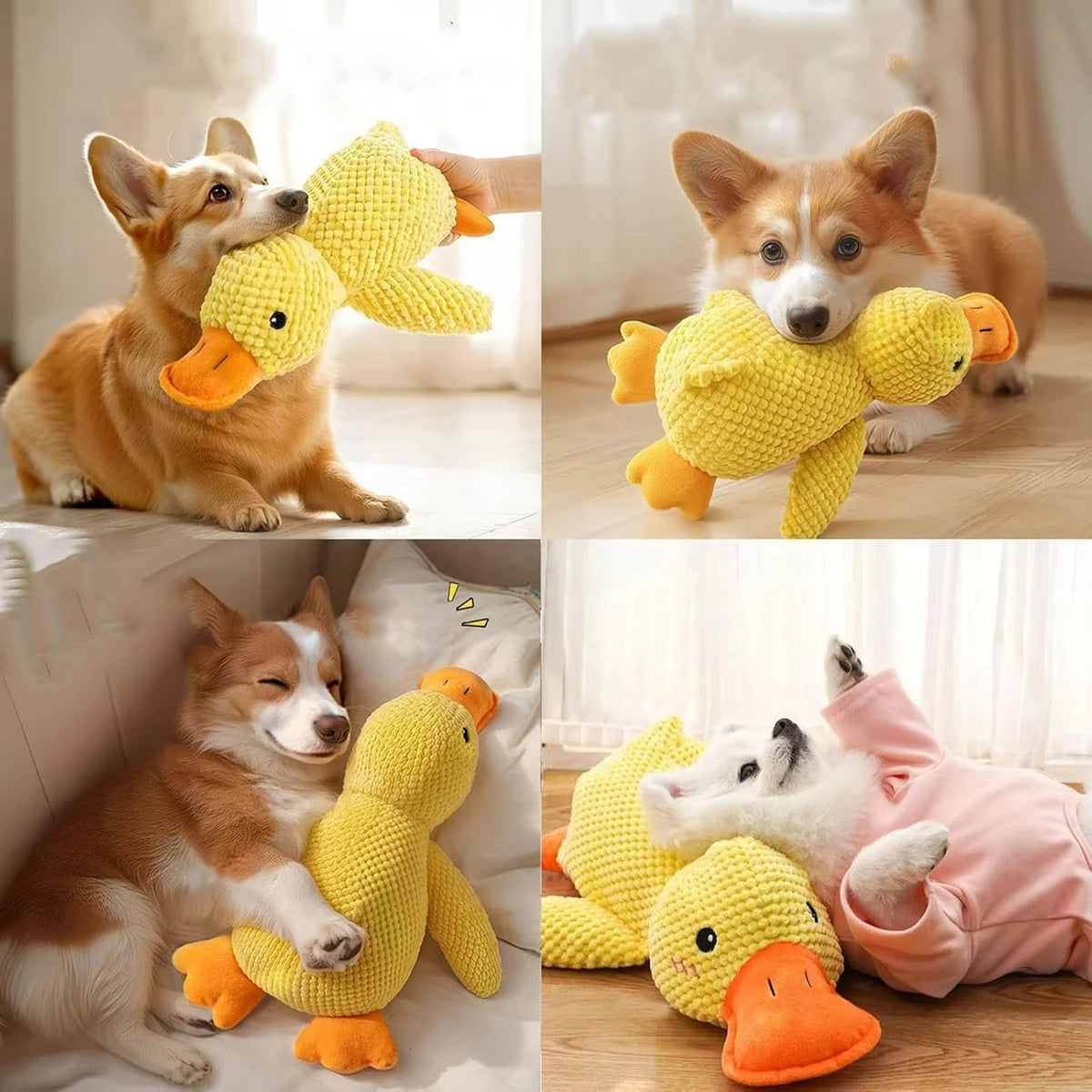Canard en Peluche Couineur pour Chien – photo 2