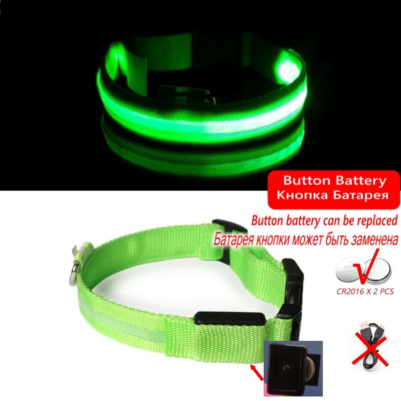 Collier Lumineux GlowPaw – LED Rechargeable pour Chien