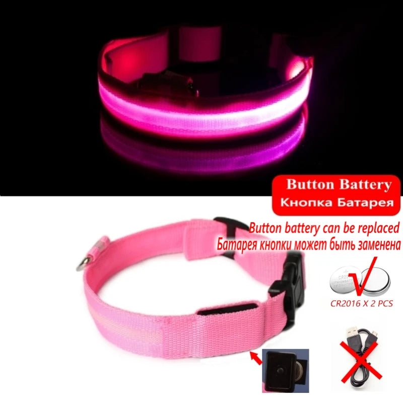 Collier Lumineux GlowPaw – LED Rechargeable pour Chien