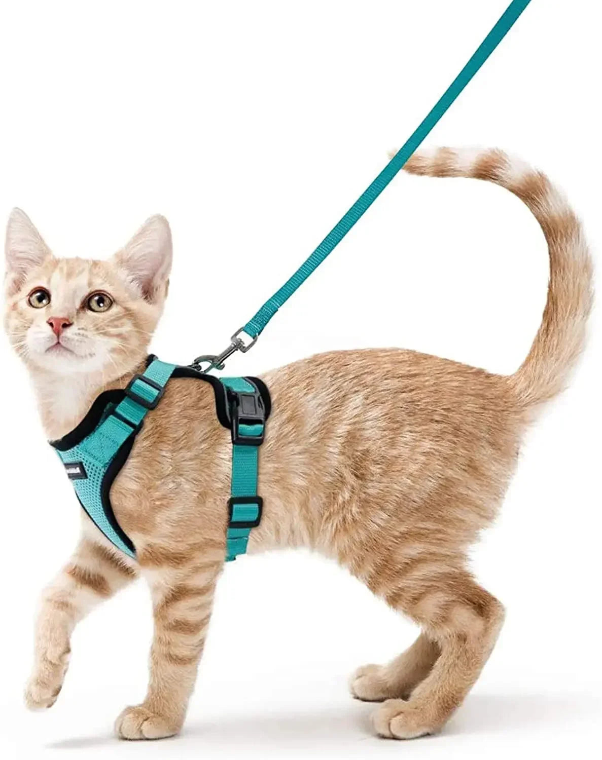 Harnais gilet anti-fugue pour chat - photo 3