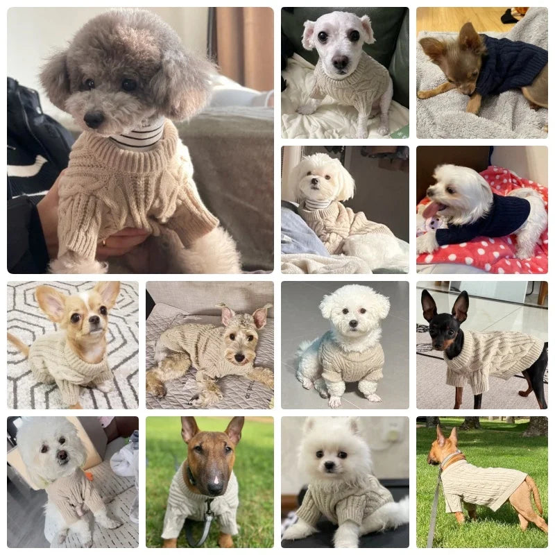 Pull Col Roulé en Maille pour Chien – photo 2
