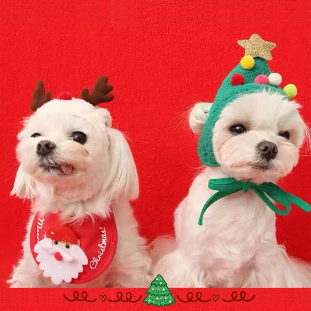 Bonnet de Noël pour Chat & Petit Chien – photo 2