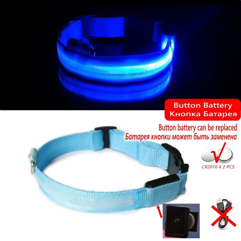 Collier Lumineux GlowPaw – LED Rechargeable pour Chien