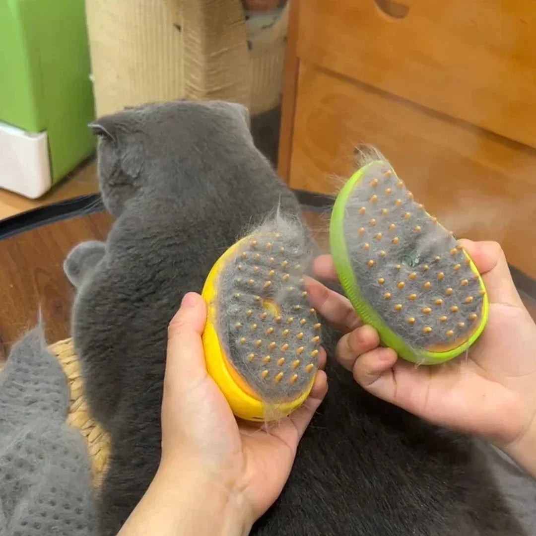 Brosse Vapeur 3en1 pour Chien et Chat - Massage et Toilettage