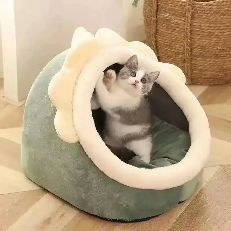 Tente Igloo pour Chat et Petit Chien - Auto-Chauffante