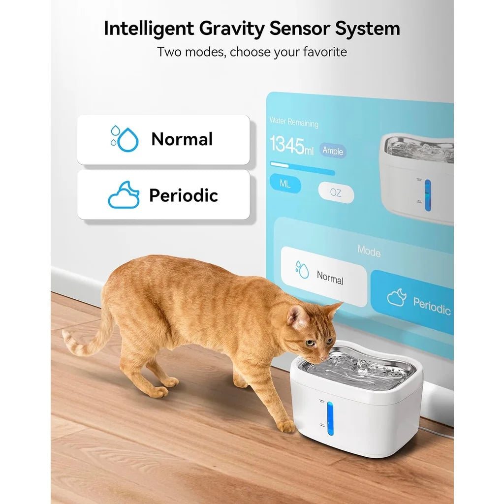Fontaine à Eau pour Chat 2,5L avec Application - Connectée Inox